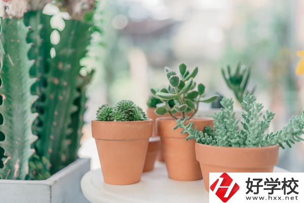 瀏陽市三聯(lián)工業(yè)學(xué)校辦學(xué)條件怎么樣？