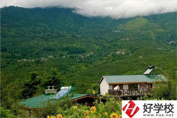 益陽(yáng)大誠(chéng)職業(yè)學(xué)校的專(zhuān)業(yè)怎么樣？就業(yè)方向如何？