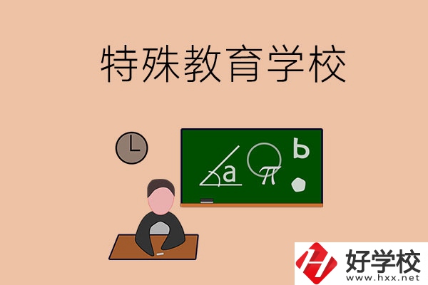湖南省有哪些特殊教育學(xué)校？