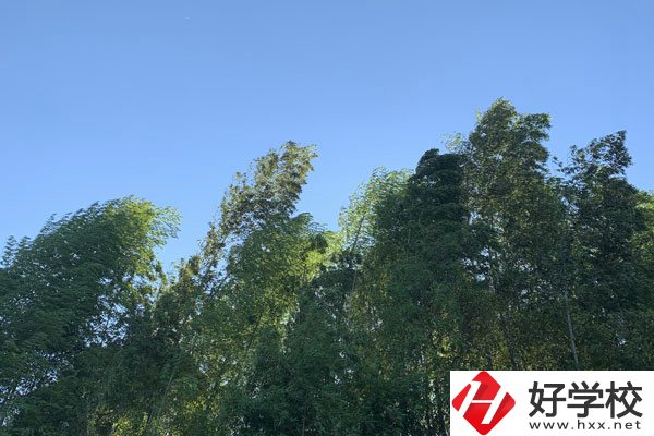 張家界協(xié)力技工學(xué)校好不好？就業(yè)前景怎么樣？