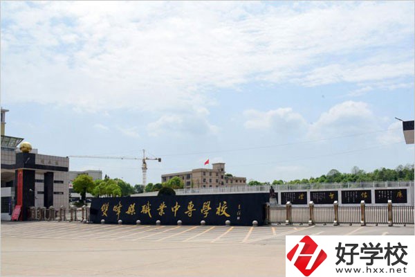 婁底的中職學(xué)校可以學(xué)美術(shù)類專業(yè)嗎？