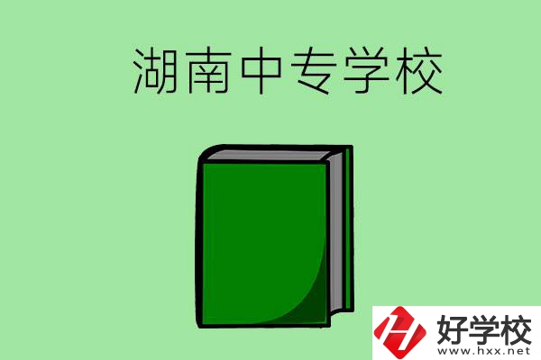 湖南的中專學(xué)校有哪些？都開設(shè)了哪些專業(yè)？
