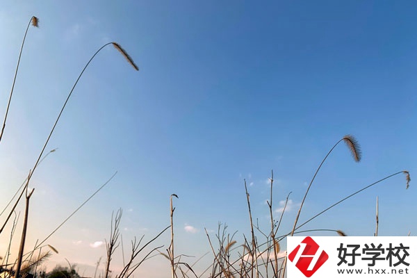 邵陽市護理職校是一所怎樣的學校？