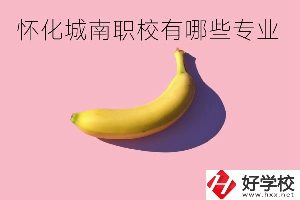 懷化城南職業(yè)學(xué)校有哪些專(zhuān)業(yè)？學(xué)校好不好？