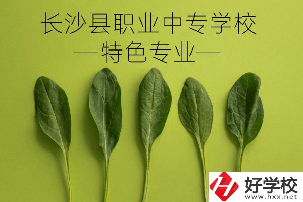 長(zhǎng)沙縣職業(yè)中專學(xué)校怎么樣？有什么特色專業(yè)？