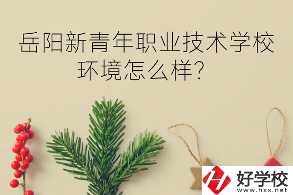岳陽新青年職業(yè)技術(shù)學(xué)校好不好？環(huán)境怎么樣？