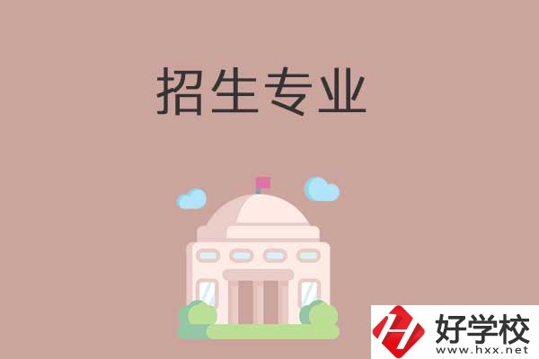 益陽(yáng)有哪些高職院校設(shè)立了中職部？招生專業(yè)有哪些？