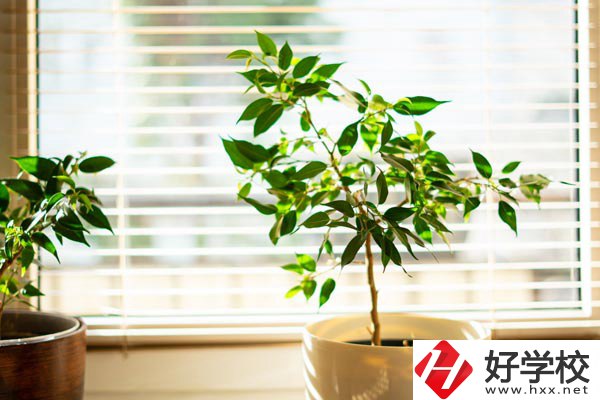 湖南省商業(yè)技師學(xué)院有哪些教學(xué)特色？報(bào)考有何要求？