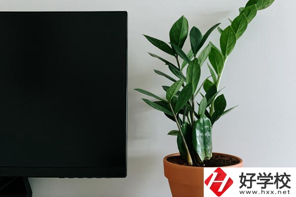 岳陽(yáng)市網(wǎng)絡(luò)工程職業(yè)技術(shù)學(xué)校有哪些熱門(mén)專業(yè)？