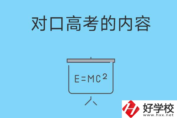 湖南職高對(duì)口高考主要考什么內(nèi)容？難度大不大？