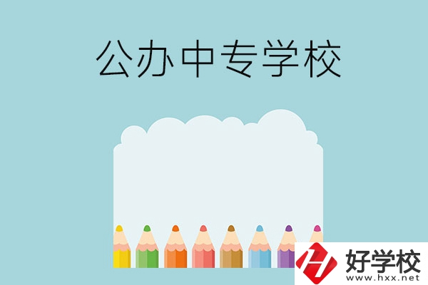 湖南地區(qū)有哪些公辦的中專(zhuān)學(xué)?？梢酝扑]呢？