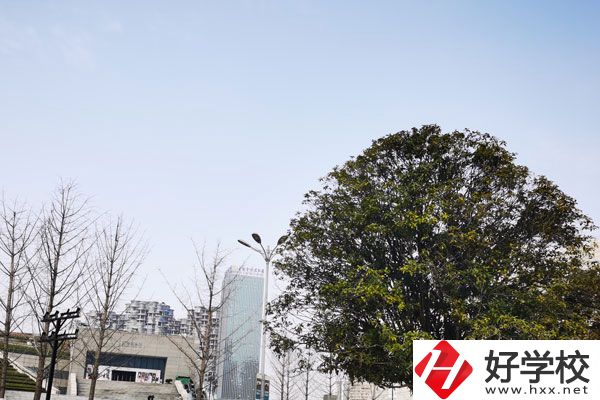 益陽(yáng)科技工程學(xué)校有哪些專業(yè)？就業(yè)如何？
