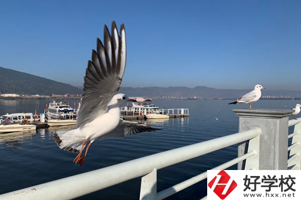 準(zhǔn)備讀中專(zhuān)，衡陽(yáng)縣職業(yè)中專(zhuān)好不好？