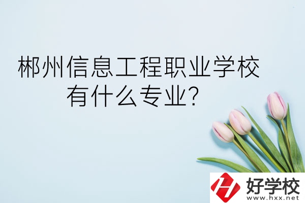 郴州信息工程職業(yè)學(xué)校有什么專業(yè)？