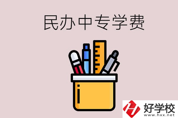 湘潭的民辦中專學校學費多少錢一年？