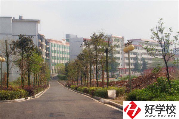 益陽(yáng)有哪些高級(jí)技校？學(xué)校有什么亮點(diǎn)？