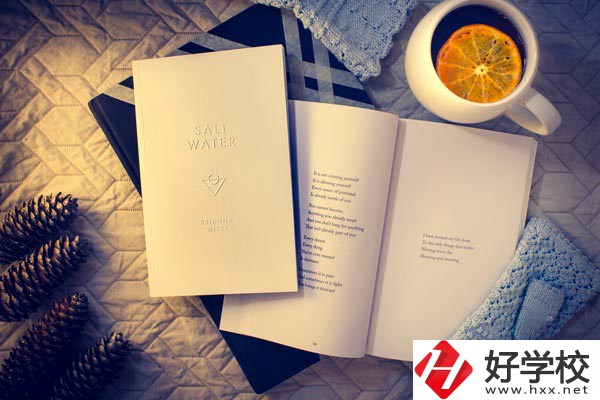 婁底技師學(xué)院有哪些專業(yè)？好就業(yè)嗎？