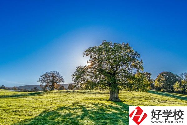 湘西旅游學(xué)校是一所怎樣的中專？