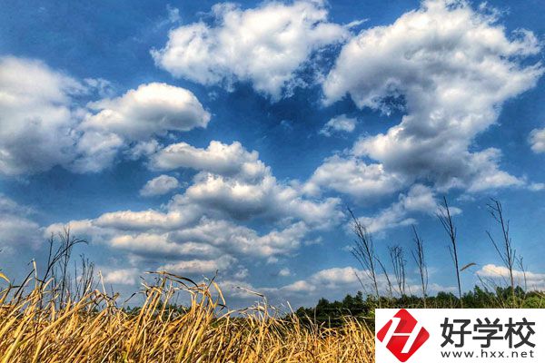 衡陽市瀟湘衛(wèi)生中等專業(yè)學(xué)校有哪些特色專業(yè)？