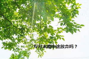 專升本能中途放棄嗎？