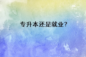 專升本還是就業(yè)？