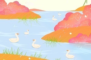 基礎(chǔ)不太好能報考專升本嗎？專升本什么時候開始準備比較好？