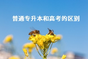 普通專升本和高考之間有什么差別？哪個更難考？
