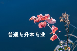 荊楚理工學(xué)院專升本的專業(yè)有哪些？專業(yè)考試難不難？
