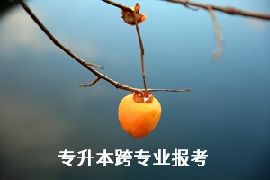 全日制統(tǒng)招專升本考試能跨專業(yè)報(bào)考嗎？有何限制？