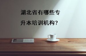 專(zhuān)升本培訓(xùn)機(jī)構(gòu)