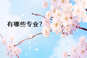 有哪些專業(yè)？