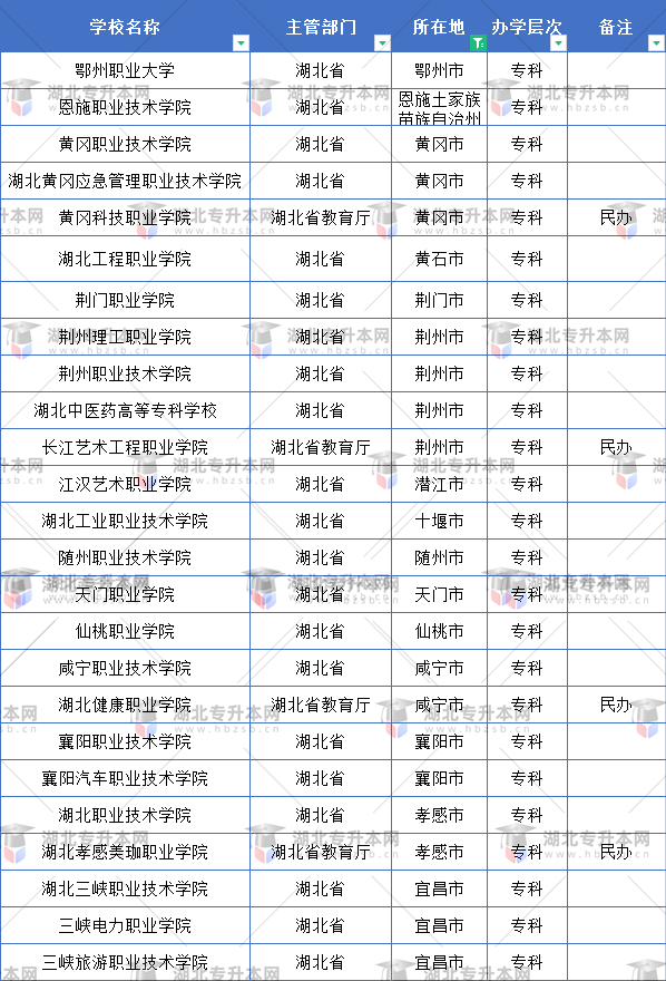 武漢市外的?？茖W校