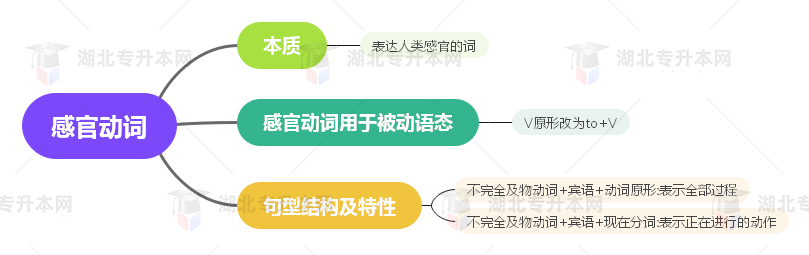 普通專升本英語要掌握多少種語法？25張思維導(dǎo)圖教會(huì)你！